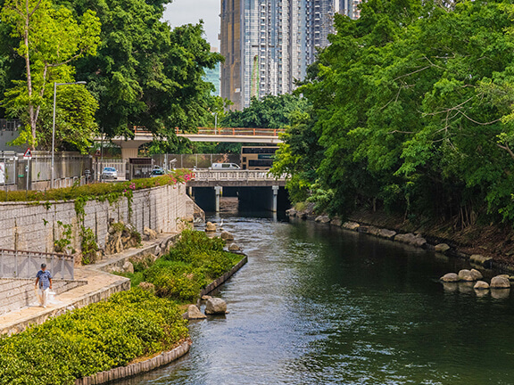 专访香港园境师学会会长许虹