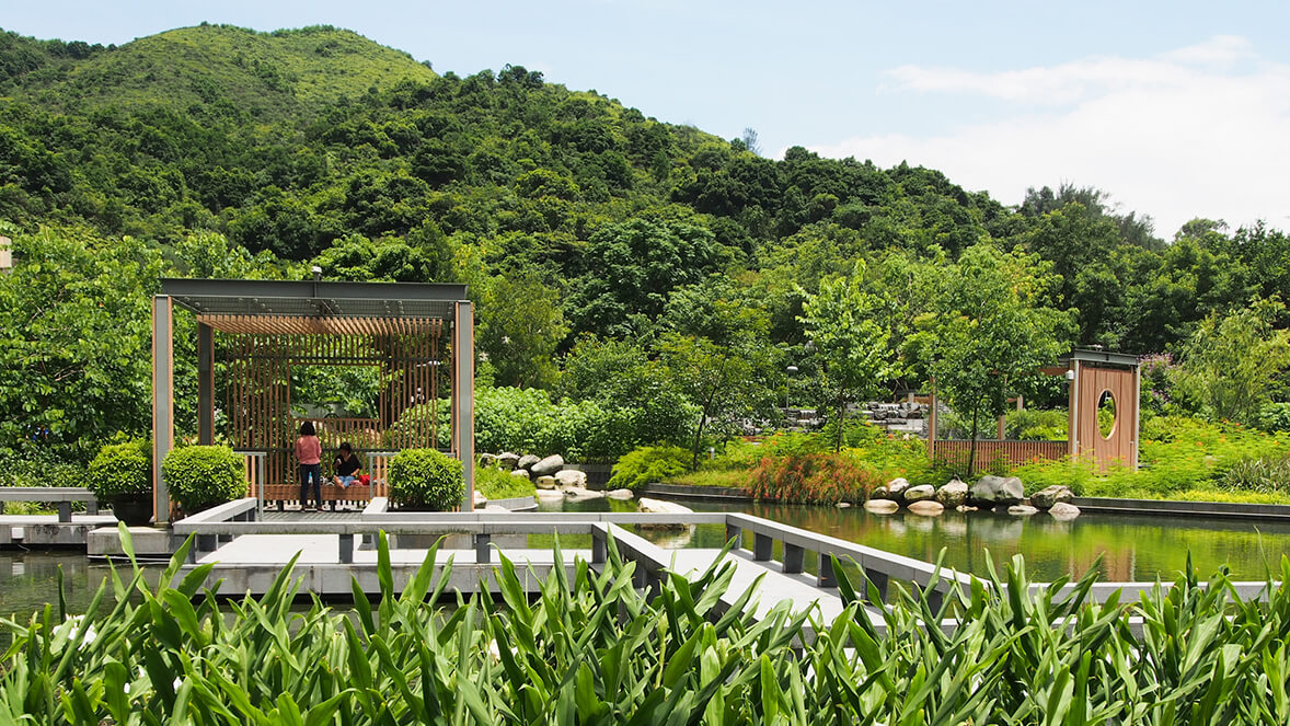 專訪香港園境師學會會長許虹，淺談園境師如何為我們綠化空間，打造健康城市。