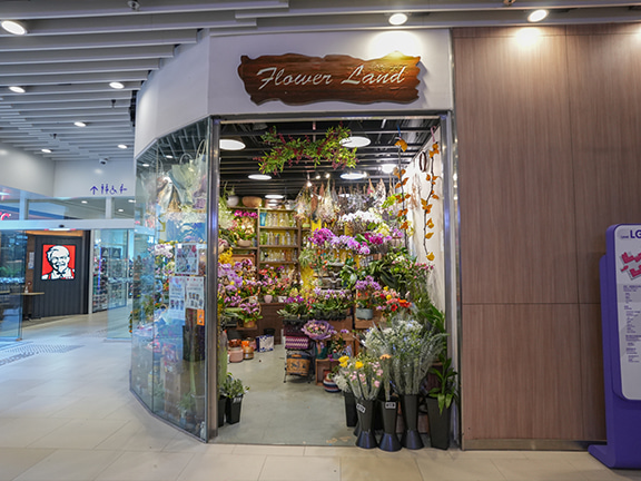 Flower Land is located at Tin Yiu Plaza in Tin Shui Wai.