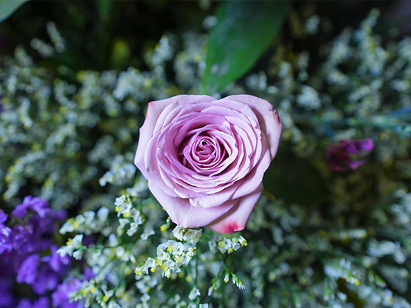 今期流行裸色及大地色系的玫瑰花。