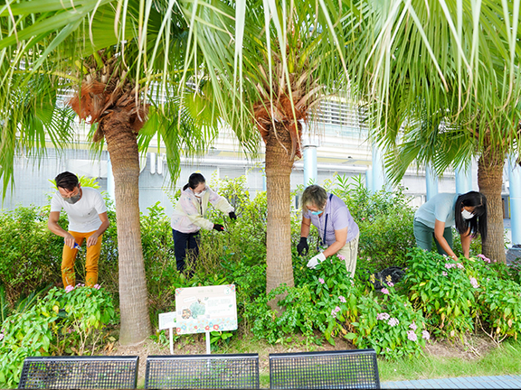 Volunteers visit the butterfly garden every month to remove weeds and withered flowers, providing a better home for butterflies and plants.