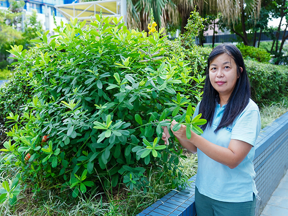 Colleen, Senior Project Manager at the Environmental Association, believes that Link’s shopping centres across Hong Kong are the ideal starting points for creating an ecological network.  