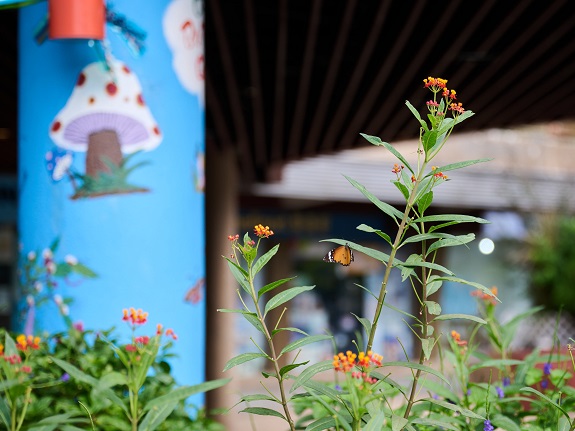 Butterflies can be seen everywhere in the butterfly garden of Choi Yuen Plaza.