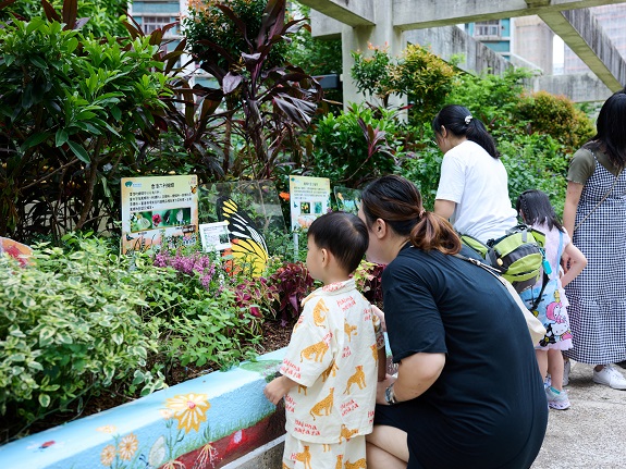 每逢假日，不少居民到訪大埔富善商場的蝴蝶園，一探蝶蹤。