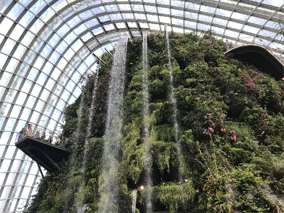 Avni和女兒幾年前旅行到過新加坡的濱海灣花園（Gardens by the Bay ），因此想到要在香港設計一個集時尚與保育於一體的「生態蝴蝶園」。