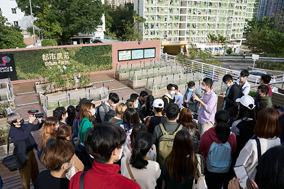 Students visited the urban farm and learnt about green planting.