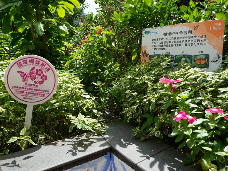 Link recently added a butterfly garden near the “Eight Immortals” mural in Lok Fu Place, offering residents a serene environment to enjoy and connect with nature.