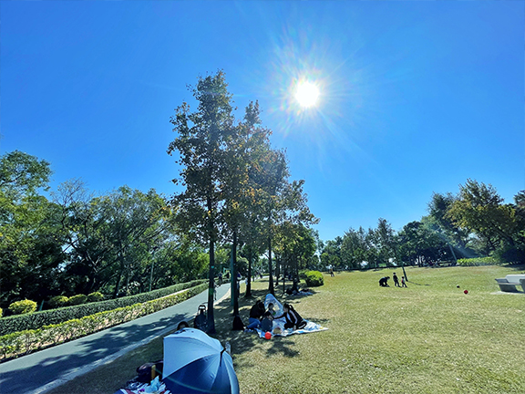 If you’re a picnic lover and are looking for a convenient and less crowded place, Jordan Valley Park is a perfect choice to hunt for autumn leaves.