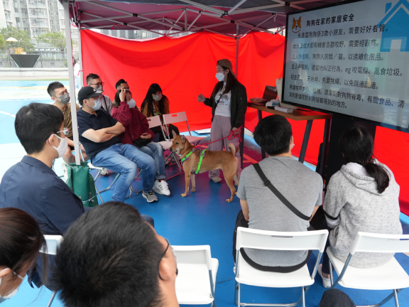 In addition to finding new homes for the dogs, HK Saving Cat and Dog Association also hosts free talks for new dog owners and dog interaction session. The aim is to raise awareness about animal protection and to promote the message “adopt, don’t give up”.