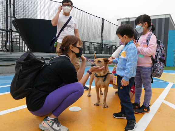 Volunteers from the association said that the spacious patio at TKO Spot helps the dogs relax and make the experience more enjoyable for both dogs and participants. 