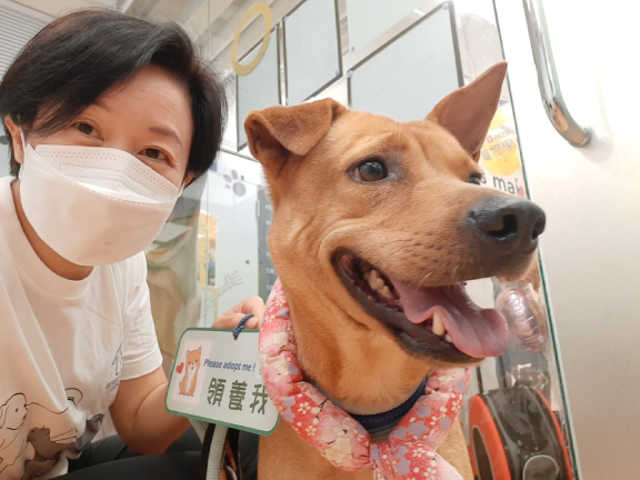 Professor Ko hopes to find Becky a permanent and reliable home. 