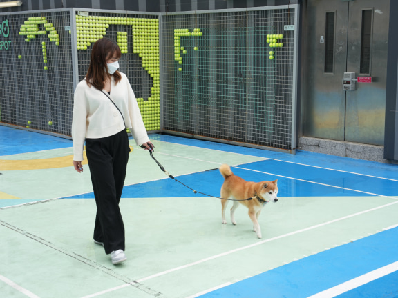 Cheryl believes that adopters need to be open-minded and caring. When they are confident enough to take the first step, the association will follow up and offer help. 