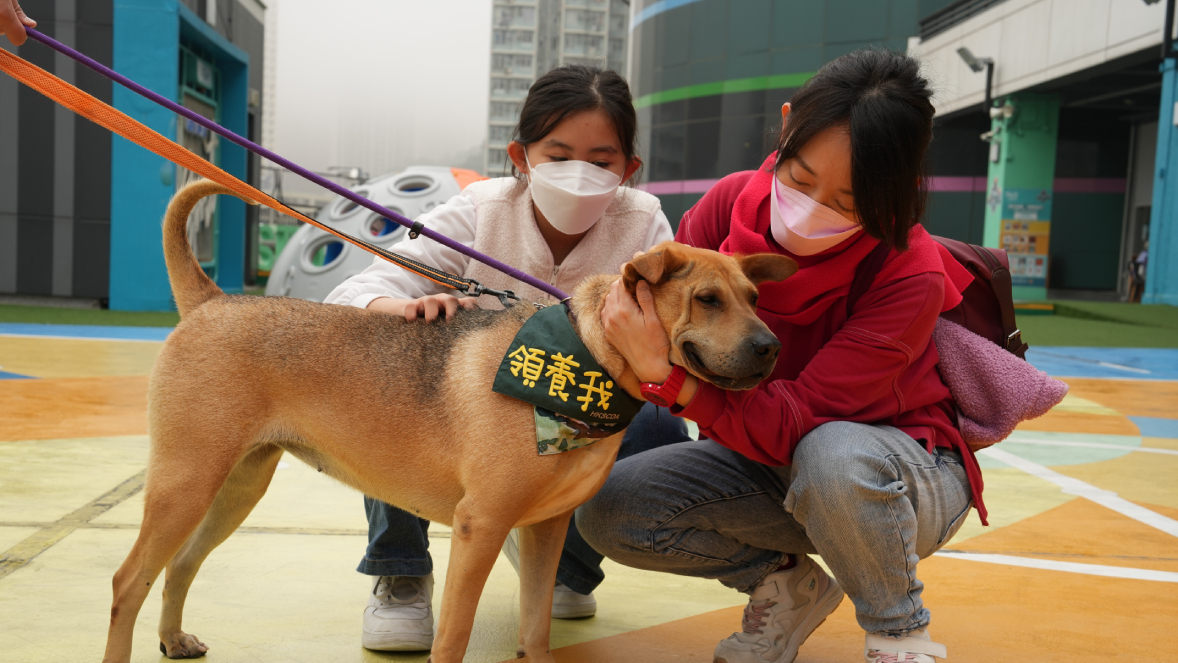香港拯救貓狗協會分別於一月及二月在領展旗下樂富廣場及TKO Spot的戶外空間舉辦「狗狗領養日」,帶領一共十多隻狗狗到場與市民近距離接觸,希望為這些無家可歸的「汪星人」尋覓好歸宿。除了為多隻狗狗尋家外,協會亦舉辦免費新手狗主需知講座及親善狗狗互動環節。