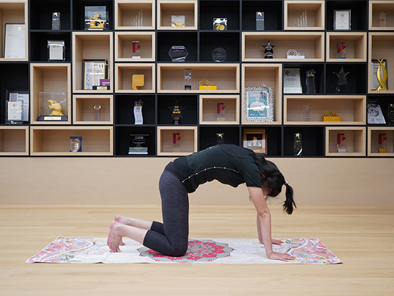 cat-cow pose in yoga