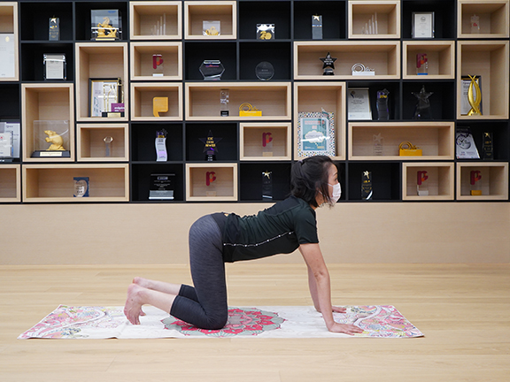 cat-cow pose in yoga