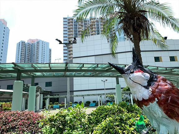 Butterfly garden at the outdoor spaces of Tsz Wan Shan Shopping Centre