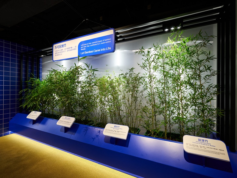 「生物資源觀察室」展示各類適合在香港種植的竹樹。