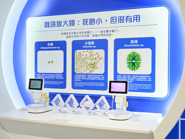 參觀者可透過顯微鏡觀察微藻樣本。