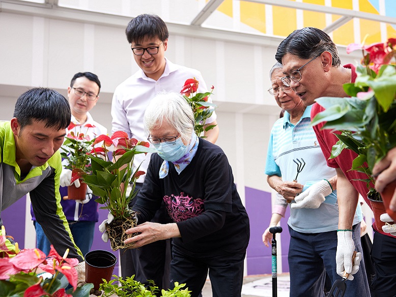 Aunt Ping personally planting anthuriums and golden dewdrops.