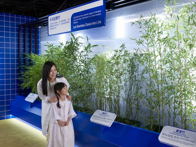 Bamboo, replacing plastic, is showcased for its use in making straws, toothbrushes and tableware, adding natural greenery to the Lab.