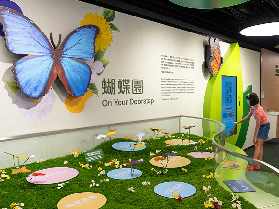 A butterfly garden-themed exhibition area was created by Link Sustainability Lab in collaboration with the Environmental Association’s Fung Yuen Butterfly Reserve.