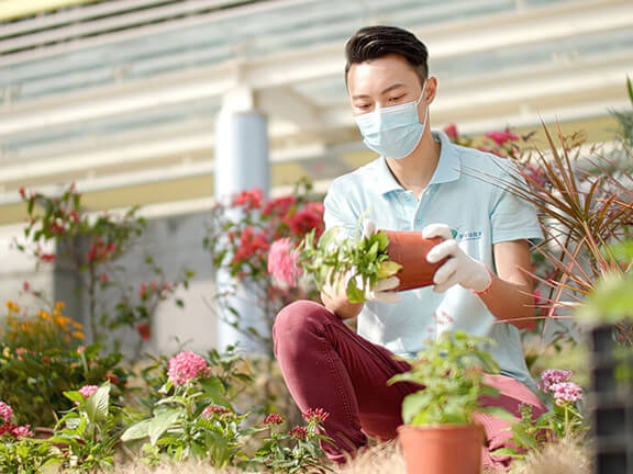 陳嘉宏移植蝴蝶園的植物