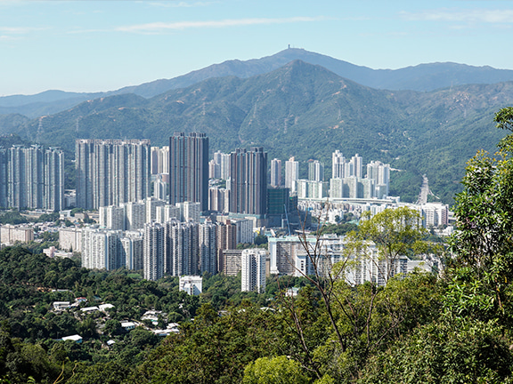 衛奕信徑第5段路途平坦多遮蔭，涼風陣陣，四處望望不難發現美景在旁。