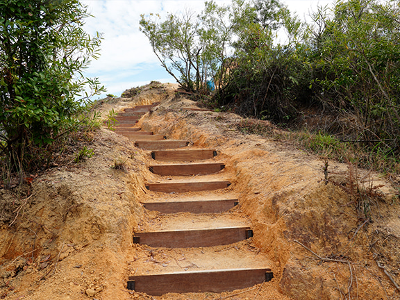 A short flight of steps which lead you to a spacious lookout dotted with trees.