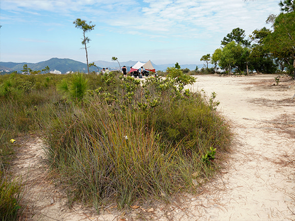 Teenagers and young couples set up beach chairs in the shade.