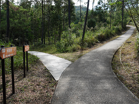 下山的路段平坦易行，路標清晰。