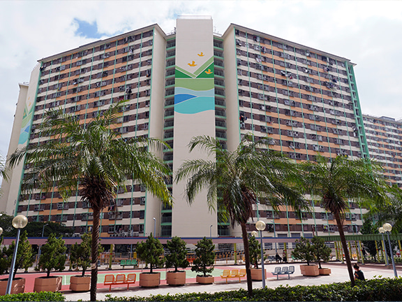 Sha Kok Estate has over 40 years of history. Each of the seven buildings of the estate was named after a different bird species traditionally regarded as elegant and mystic in Chinese culture.