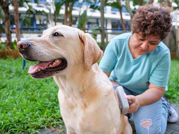 Through his exhibited work, Jack hopes to increase awareness and understanding of visually impaired people and their guide dogs so that ordinary citizens can recognise and support them where needed on the streets of Hong Kong.