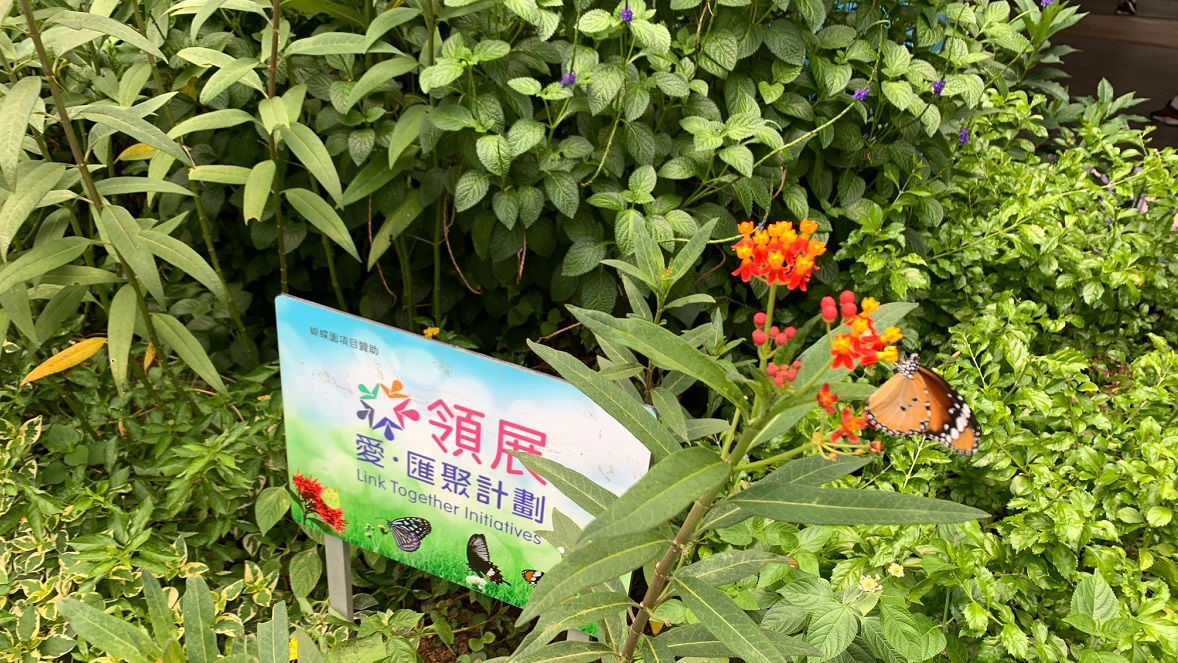The Butterfly Garden Installation Design Competition 2025, organised by the Environmental Association’s Fung Yuen Butterfly Reserve and sponsored by Link Together Initiatives, invited the community to design art installations for the butterfly gardens of Chung On Shopping Centre, Choi Ming Shopping Centre and Kai Tin Shopping Centre.