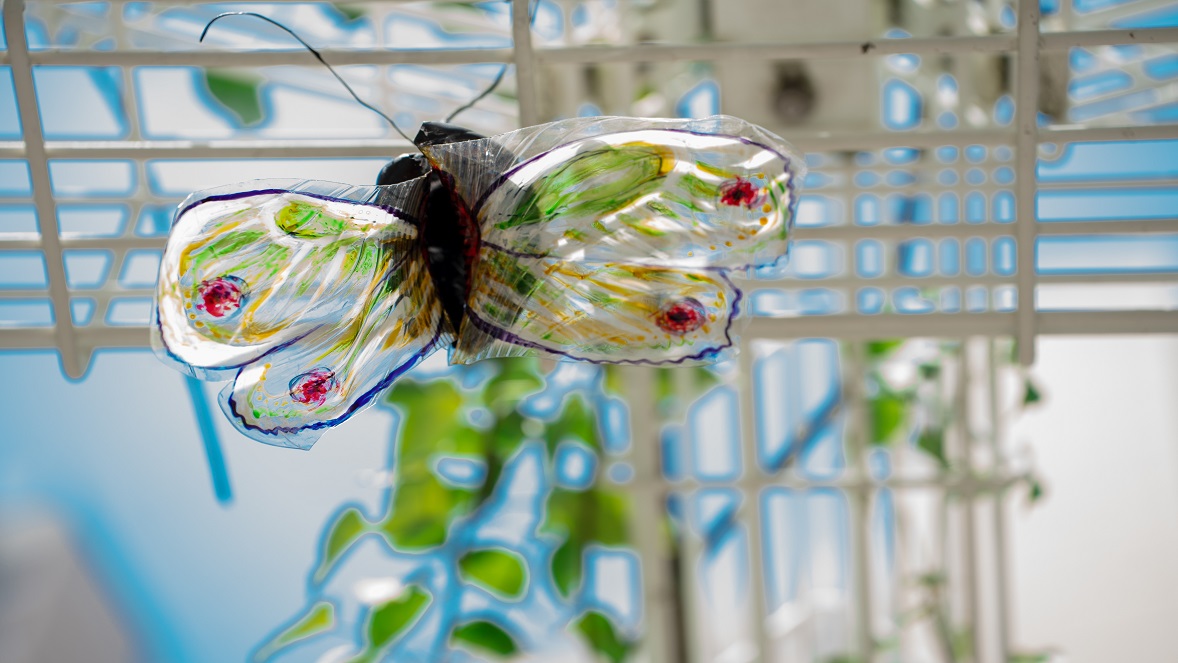The Hidden Butterfly Paradise in the Bustling City
