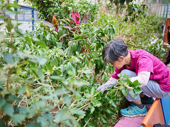 權嫂耐心清理藏在植物下的垃圾。