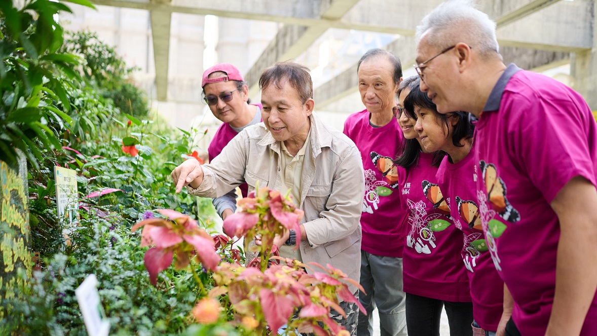 The Environmental Association has created eight butterfly gardens in the outdoor spaces of Link’s shopping centres, allowing urbanites to observe enchanting butterflies amidst the urban rush. These oases of serenity where humans and nature coexist in harmony are imbued with the dedication, hard work and energy of the gardens’ volunteer team.