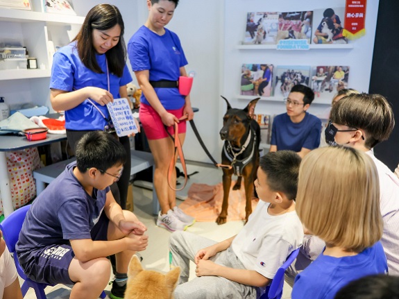 工作坊以治療犬協助改善參加者的情緒。