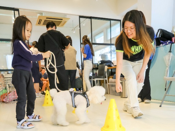 Volunteers lead children to guide therapy dogs through obstacles using commands, helping children relax in the process. 