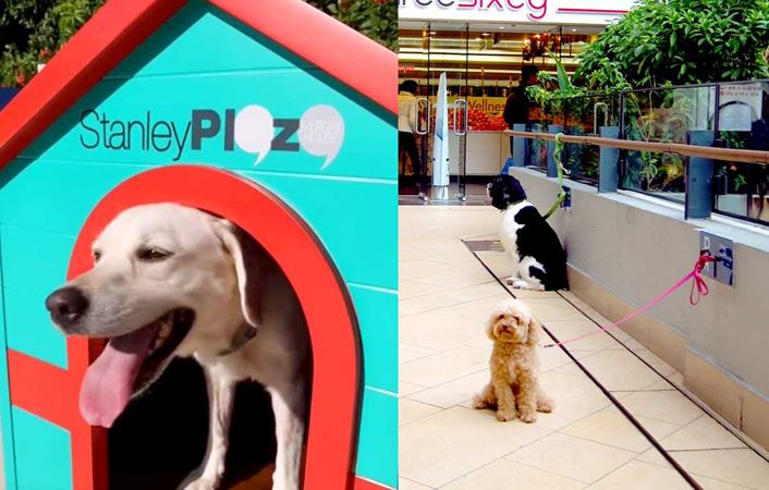 Pet Friendly Facilities at Stanley Plaza