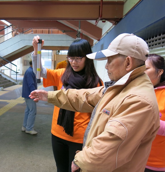 Community Health Ageing for Seniors Programme​