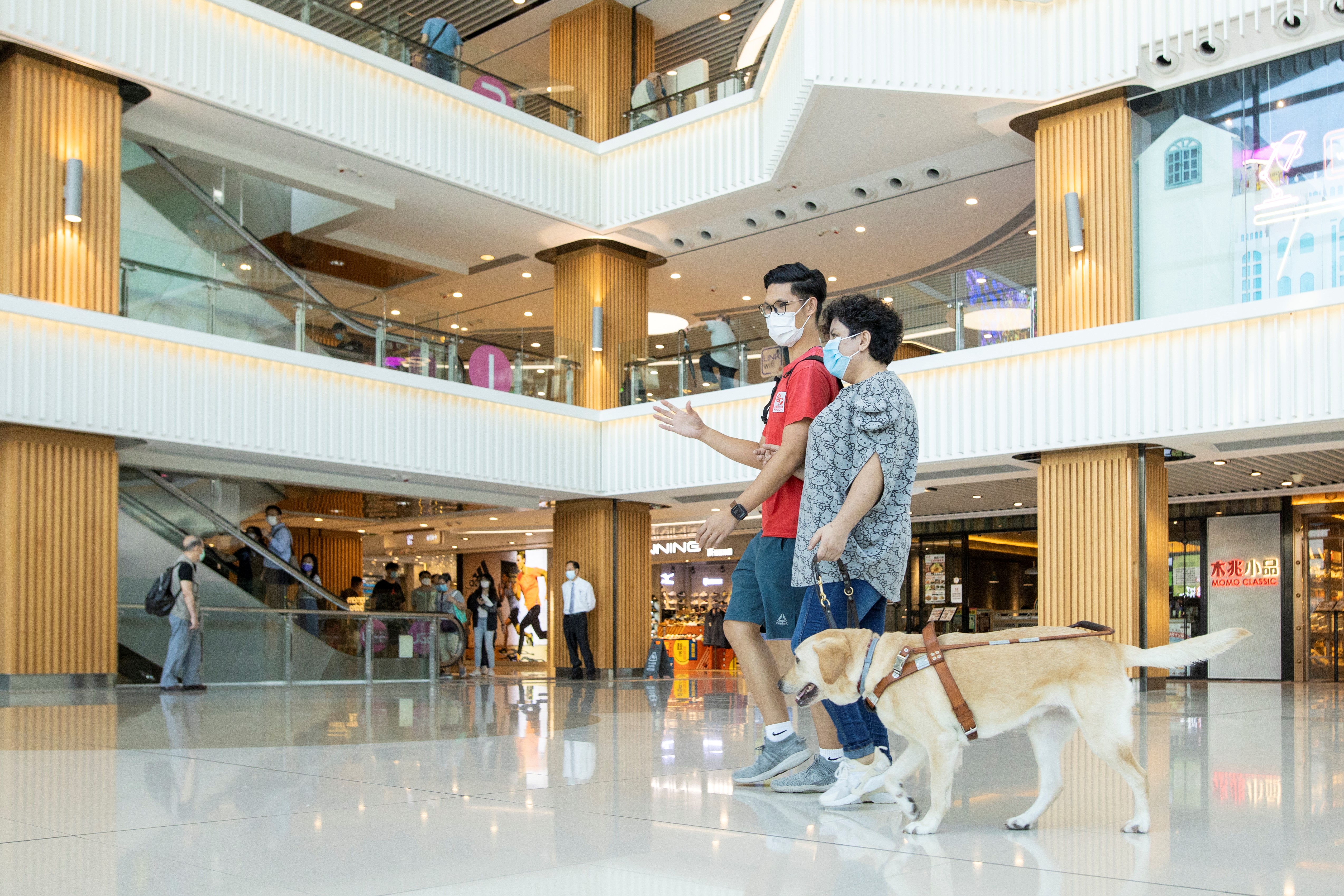 导盲犬发展计划