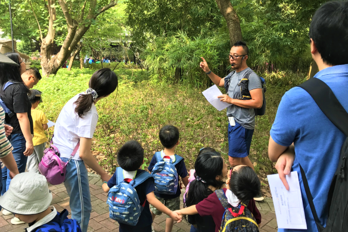 Play Green in Link Community