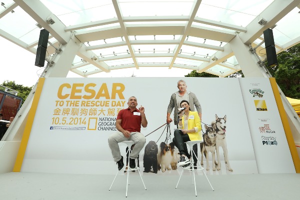Cesar to the rescue top