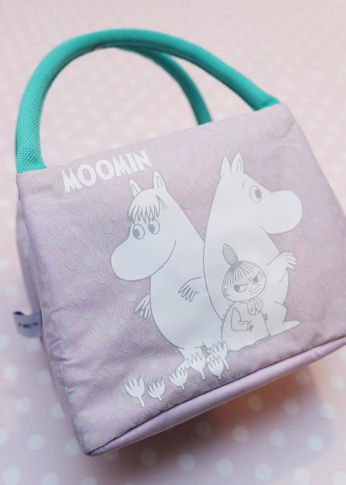 Link x Moomin