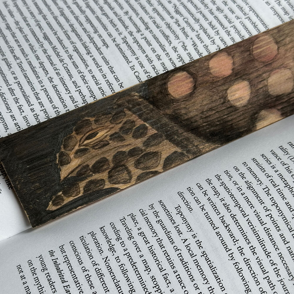 Michelle Fung Endangered Animal Drawing Bookmark Workshop